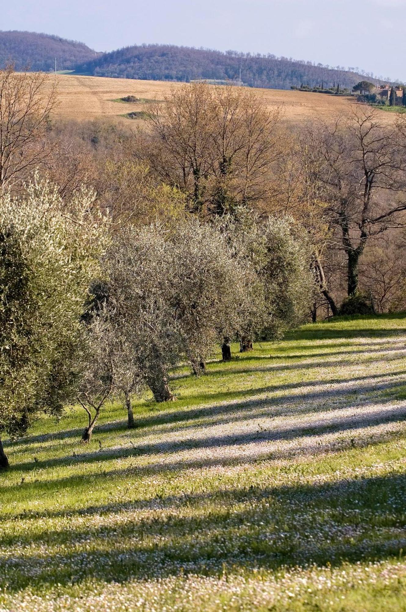 Отель La Saracina Пиенца Экстерьер фото